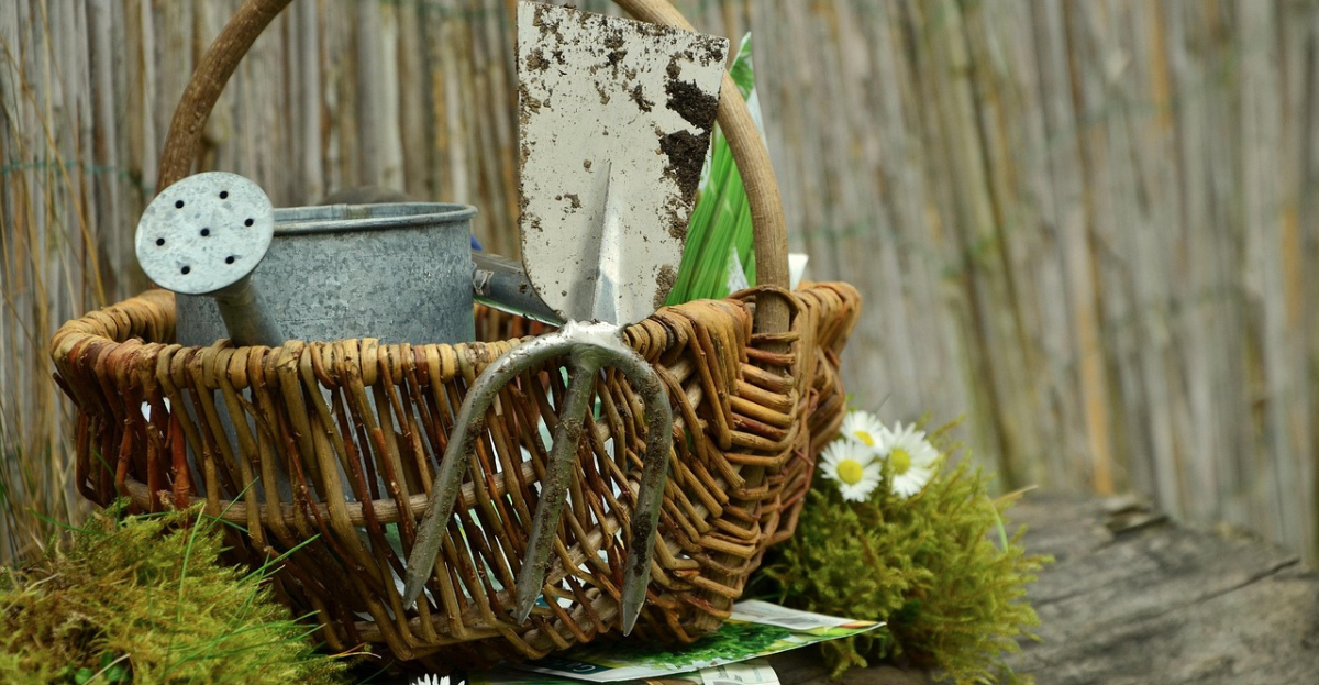 Basket of tools